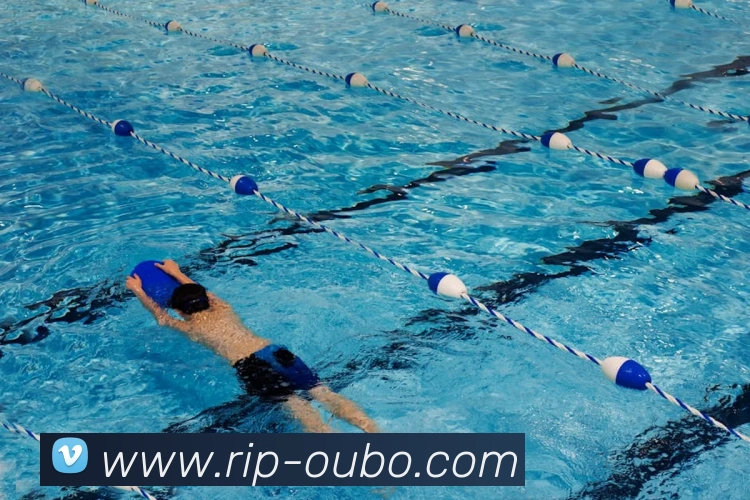 App Interface Preview